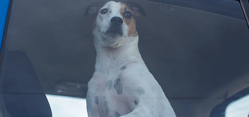 Car Lockout Solutions in Wilton, California